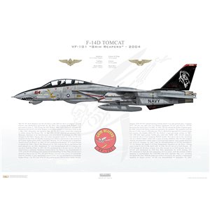 F-14D Tomcat VF-101 Grim Reapers, AD164 / 164342. 2004 Squadron Lithograph