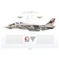 F-14A Tomcat VF-201 Hunters, AF100 / 162709 / 1994 - Profile Print