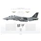 F-14B Tomcat VF-103 Jolly Rogers, AA101 / 162705 / Last Cruise, 2004 - Profile Print