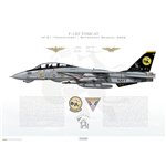 F-14D Tomcat VF-31 Tomcatters, AJ100 / 164342 / Retirement Scheme, 2006 - Profile Print