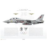 F-14B Tomcat VF-74 Be-Devilers, AA101 / 162919 / 1992 - Profile Print