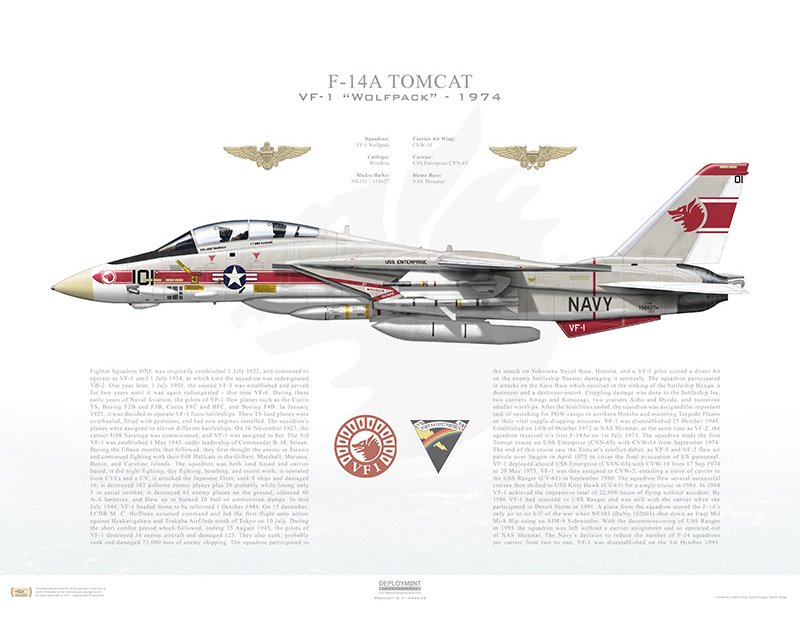 f-14a-tomcat-vf-1-wolfpack-nk101-158627-1974.jpg