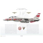 F-14A Tomcat VF-1 Wolfpack, NK101 / 158989 / 1978