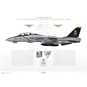 F-14B Tomcat VF-103 Jolly Rogers, AA103 / 163217. CVW-17, USS John F. Kennedy CV-67 - 60th Years of Jolly Rogers, 2003 Squadron Lithograph