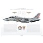 F-14A Tomcat VF-211 Checkmates, AB101 / 161603 / 2004, Final Tomcat Cruise - Profile Print