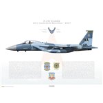 F-15C Eagle 57th Wg, 65th Aggressor Squadron, AW/080010 / 2007