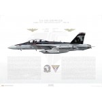 EA-18G Growler VAQ-141 Shadowhawks, AJ500 / 166928 / 2010 - Profile Print