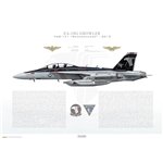 EA-18G Growler VAQ-141 Shadowhawks, NF500 / 166928 / 2012 - Profile Print
