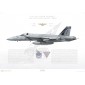 F/A-18E Super Hornet VFA-143 Pukin Dogs, AG100 / 166608 / 2006 - Profile Print