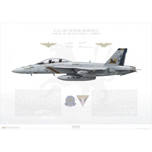 F/A-18F Super Hornet VFA-213 Blacklions, AJ200 / 166663. CVW-8, USS Theodore Roosevelt CVN-71, 2007 Squadron Lithograph