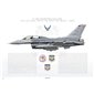 F-16D Fighting Falcon 301st FW, 457th FS, TX/85-513 / 2004 - Profile Print