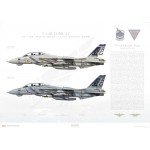 F-14B Tomcat VF-143 Pukin' Dogs AG143 & AG100, Last Cruise - 2005 - Profile Print