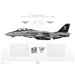 F-14B Tomcat VF-103 Jolly Rogers, AA103 / 161435, Santa Cat, 2000 - Profile Print