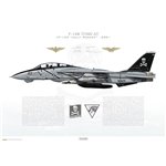 F-14B Tomcat VF-103 Jolly Rogers, AA103 / 161435, 2001 - Profile Print
