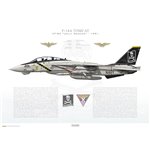 F-14A Tomcat VF-84 Jolly Rogers, AJ201 / 162692 / Flag Tail, 1991