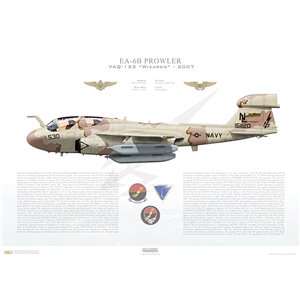 EA-6B Prowler VAQ-133 Wizards, NL530 / 161120. Electronic Attack Wing, US Pacific Fleet - 2007 Squadron Lithograph