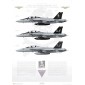 VFA-103 Jolly Rogers Homecoming 2013 - Profile Print