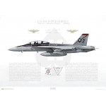 F/A-18F Super Hornet VFA-41 Black Aces, NH100 / 166842 / 2009 - Profile Print