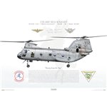 CH-46E Sea Knight HMM-161 Grayhawks, YR02 / 154841 - Profile Print