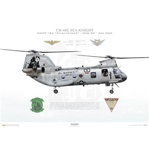CH-46E Sea Knight HMMT-164 Knightriders, YT00 / 152562, MAG39, 3rd MAW, MCAS Camp Pendleton Squadron Lithograph
