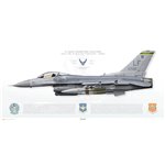 F-16C Fighting Falcon 56th FW, 310th FS, LF/90-722 / 2007 - Profile Print