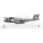 EA-6B Prowler VAQ-134 Garudas, NL540 / 163890 / 2009 - Profile Print