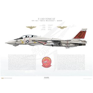 F-14D Tomcat VF-101 Grim Reapers, AD160 / 164601. 2005 Squadron Lithograph