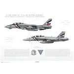 VF-2 to VFA-2 Bounty Hunters Transition, 2003-2004 / F-14D Tomcat - F/A-18F Super Hornet - Profile Print