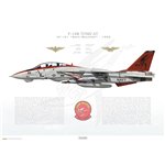 F-14B Tomcat VF-101 Grim Reapers, AD101 / 162923 / 1995 - Profile Print