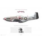 P-51D Mustang "Big Beautiful Doll" - 472218 / WZ-I, 78th FG, 84th FS - 1945