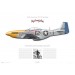 P-51D Mustang "Big Beautiful Doll" - 472218 / E2-I, 361st FG, 357th FS - 1945