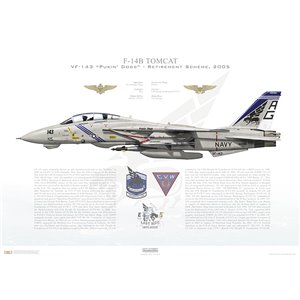 F-14B Tomcat VF-143 Pukin' Dogs, AG143 / 162926. CVW-7, USS George Washington CVN-73 - Retirement Scheme, 2005 Squadron Lithograph