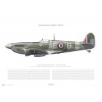 Supermarine Spitfire MK IX - EN395 AE-B - 1943