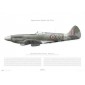 Supermarine Spitfire Mk XIVc - RM787 CG - 1944 - Profile Print