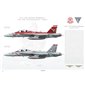 F/A-18F Super Hornet VFA-102 Diamondbacks NF100 & NF102 - 2005 - Profile Print