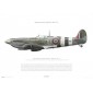 Supermarine Spitfire Mk IXc "Baby Bea V" - MK732 OU-U - 1944 - Profile Print