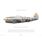 P-47D Thunderbolt "Dottie Mae" - 4229150 / K4-S, 405th FG, 511th FS - 1944