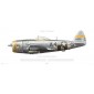 P-47D Thunderbolt "Dottie Mae" - 4229150 / K4-S, 405th FG, 511th FS - 1944 - Profile Print