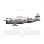 P-47D Thunderbolt "Joan the Happy Hopper" - 4225893 / Y8-F, 404th FG, 507th FS - 1944