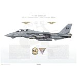 F-14D Tomcat VF-31 Tomcatters, AJ102 / 163904 / 2006 - Profile Print