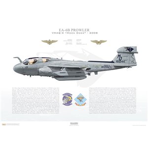 EA-6B Prowler VMAQ-3 Moon Dogs, MD01 / 161244. MAG-14, MCAS Cherry Point, NC - 2008 Squadron Lithograph