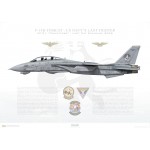 F-14D Tomcat VF-31 Tomcatters, AJ102 / 163904 / LAST CAT STANDING, 2006 - Profile Print