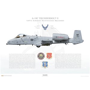 A-10C Thunderbolt II 127th W, 127th Aircraft Maintenance Squadron, FS/80-265. Selfridge ANGB, MI Squadron Lithograph