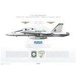 F/A-18B Hornet VMFAT-101 Sharpshooters, SH215 / 163115 - Medal of Honor - 2014 - Profile Print