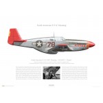 P-51C Mustang "Kitten" - 43025072 / 78, 332nd FG, 302nd FS