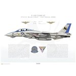 F-14D Tomcat VF-213 Black Lions, AJ213 / 164602 / 2006 - Profile Print
