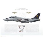 F-14B Tomcat VF-11 Red Rippers, AA100 / 163227 / 2005