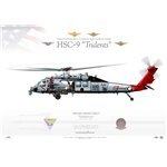 MH-60S Knighthawk HSC-9 Tridents, AJ610 / 167836 - Profile Print