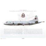P-3C Orion VP-16 War Eagles, LF333 / 161333 / 2011 - Profile Print