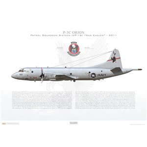 P-3C Orion Patrol Squadron Sixteen (VP-16) War Eagles, LF333 / 161333. NAS Jacksonville, FL - 2011 Squadron Lithograph